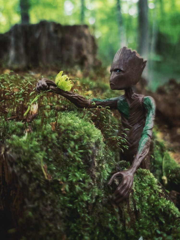 Photograph by Людмила Мельтишинова