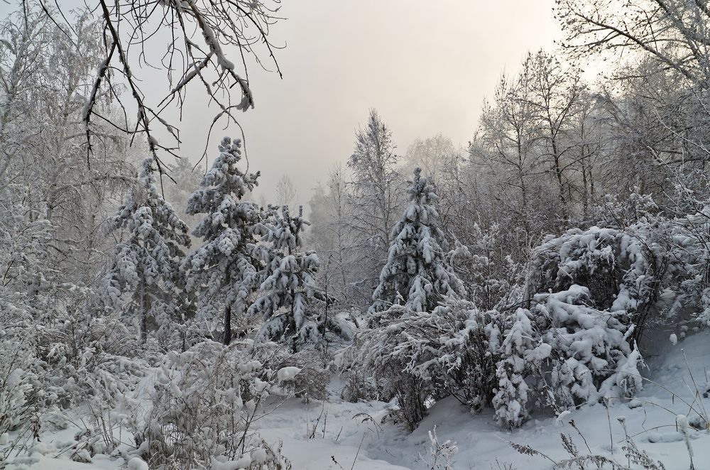 Photograph by Игорь Боголюбов