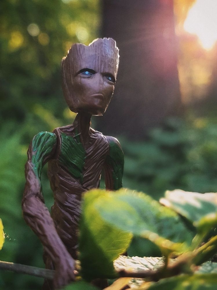 Photograph by Людмила Мельтишинова