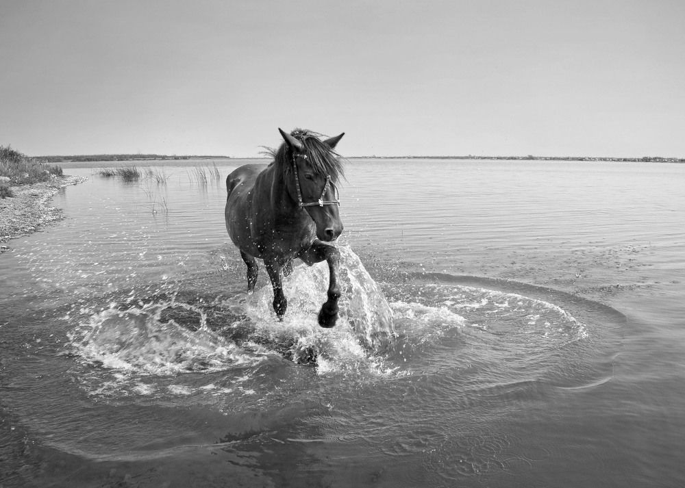 Photograph by Мишустина Татьяна