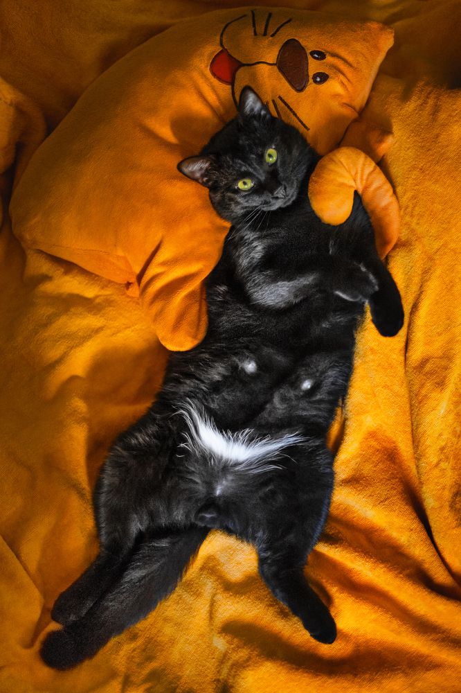 Photograph by Покровская Екатерина