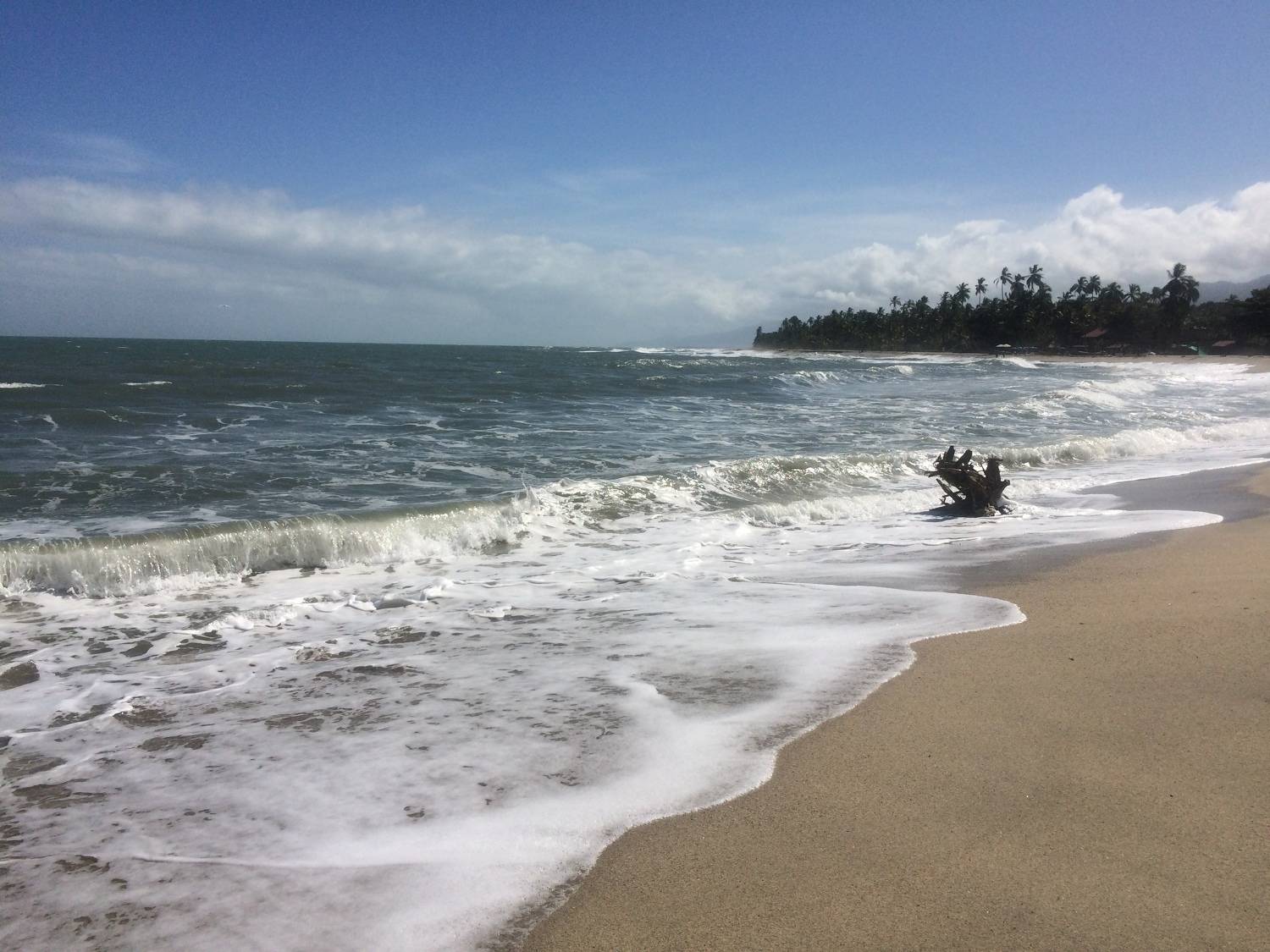 Photo #8719476