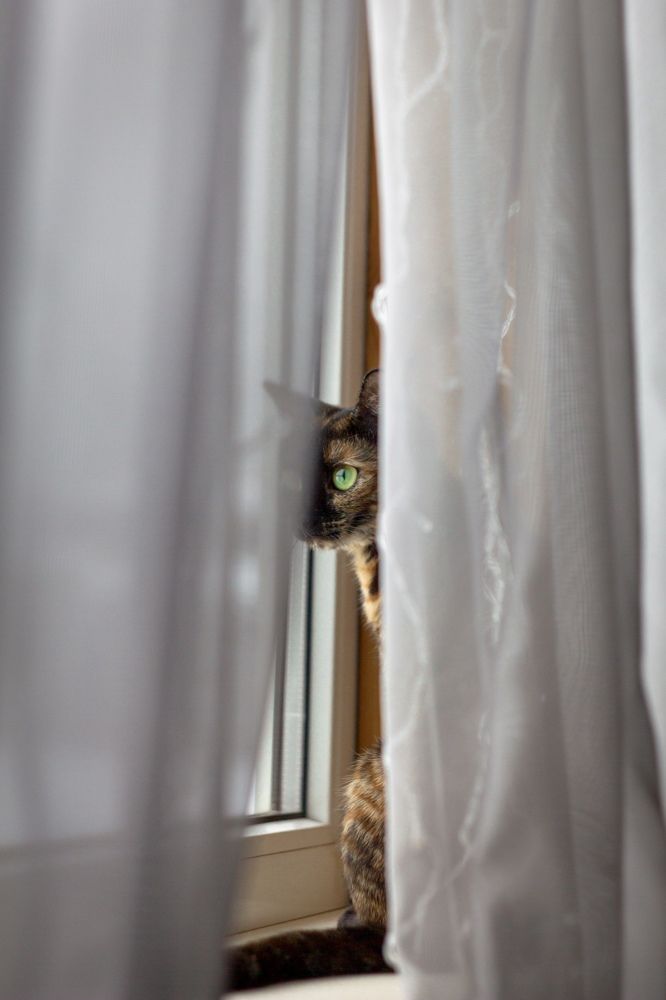 Photograph by Сергей Фаренюк