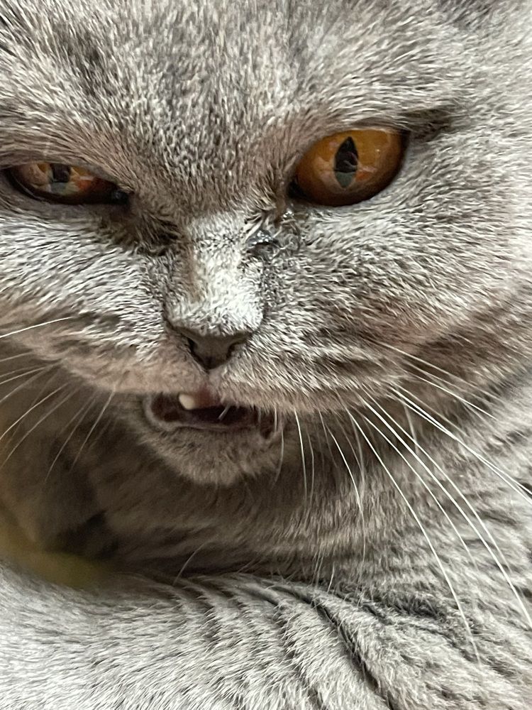 Photograph by Самусева Марина