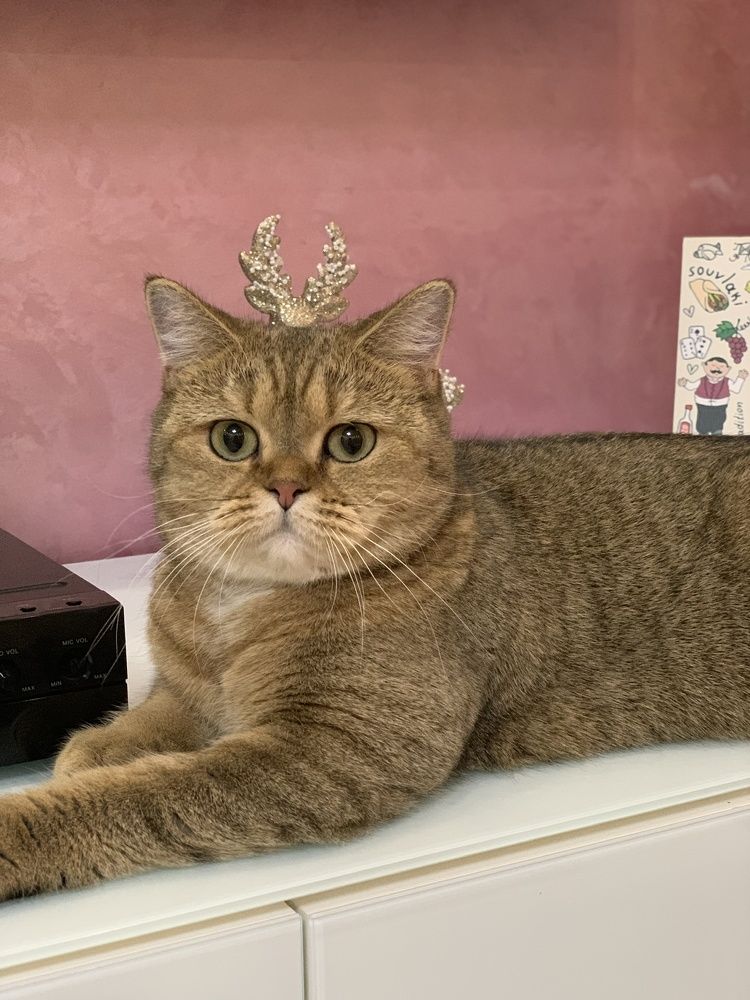 Photograph by Самусева Марина