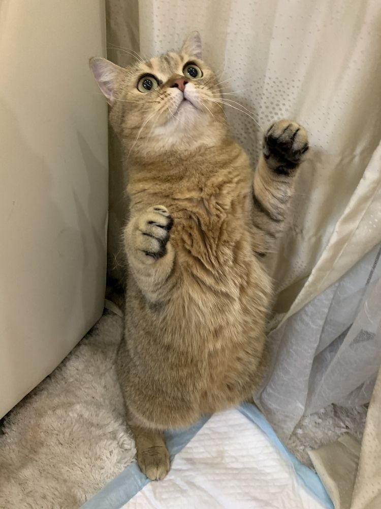 Photograph by Самусева Марина