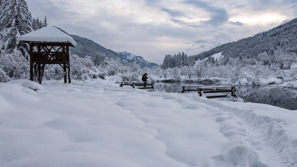 Photograph by Jernej Peljhan