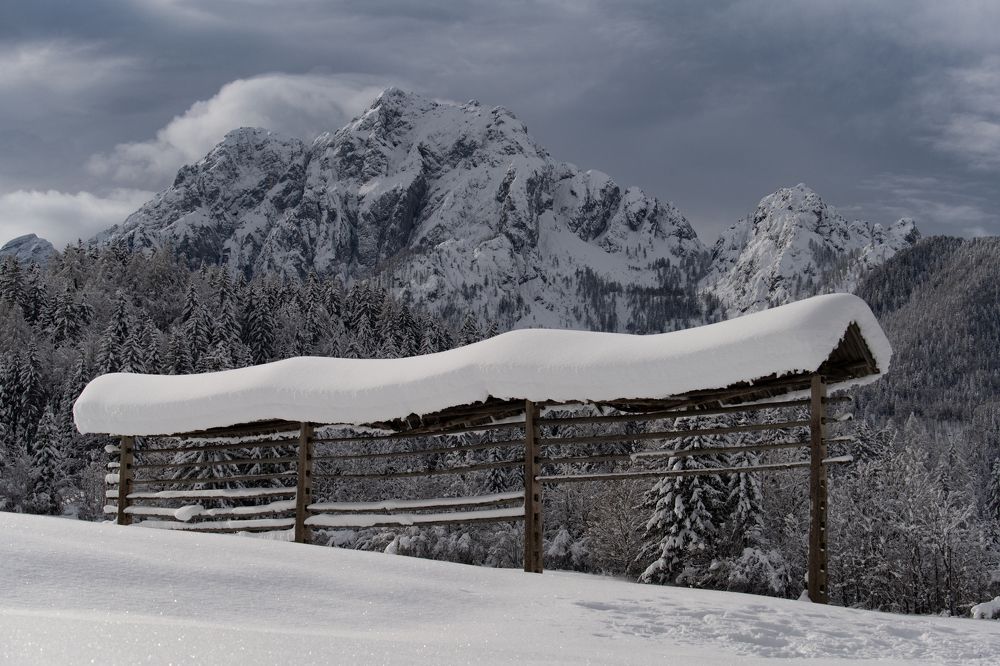 Photograph by Jernej Peljhan