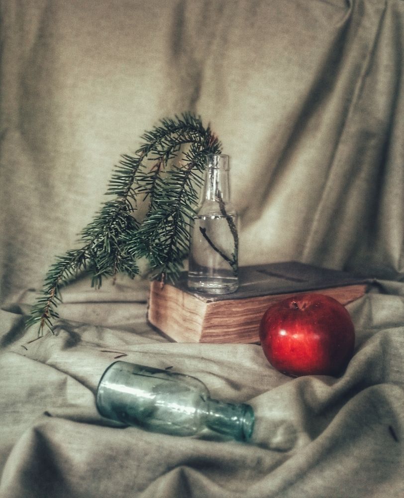 Фотография автора Татьяна Егорова