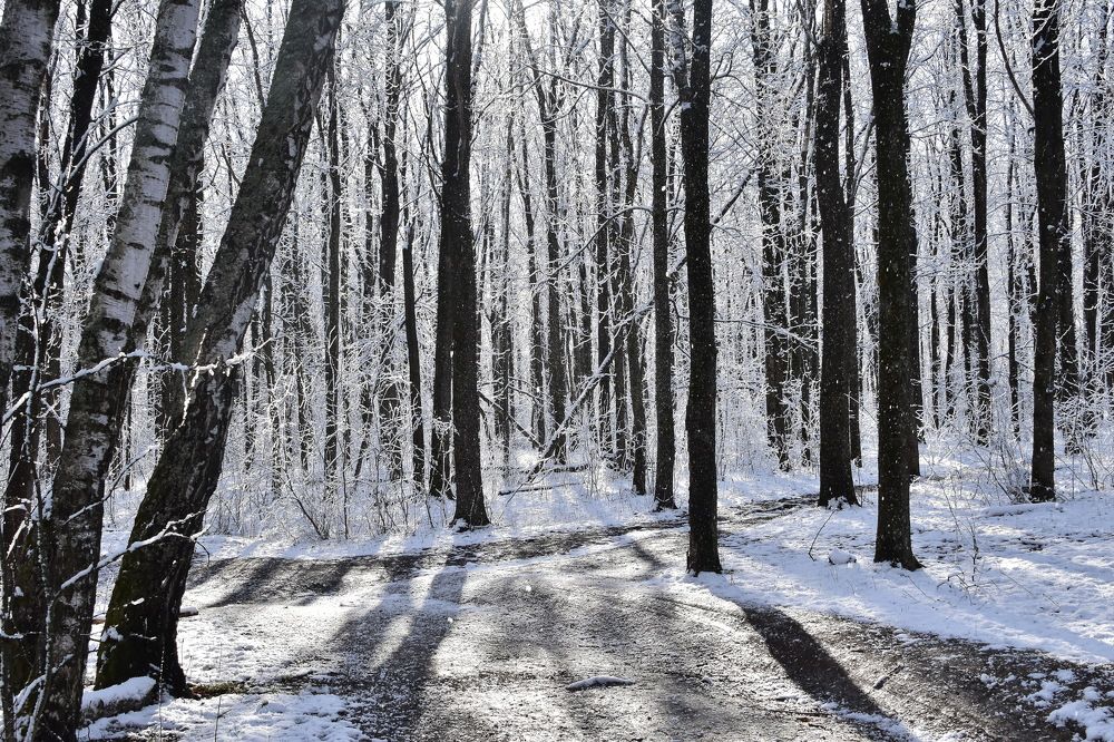 Photograph by Татьяна Калугина