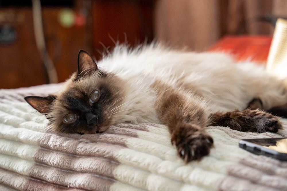 Photograph by Alexander Ivanov