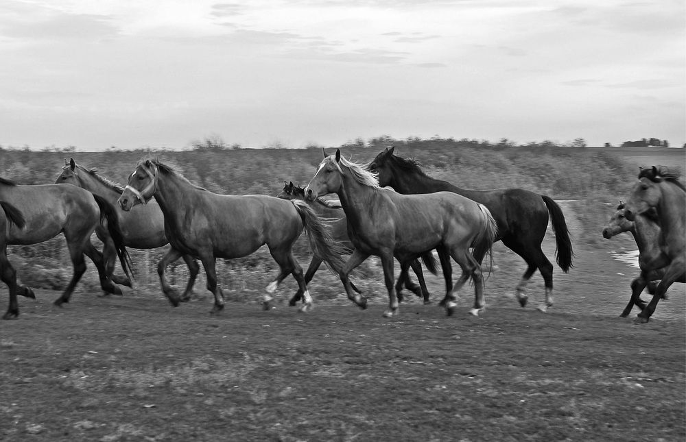 Photograph by Мишустина Татьяна