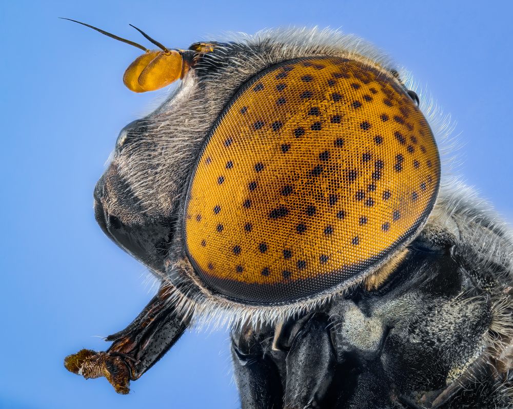 Photograph by Abolfazl Arab