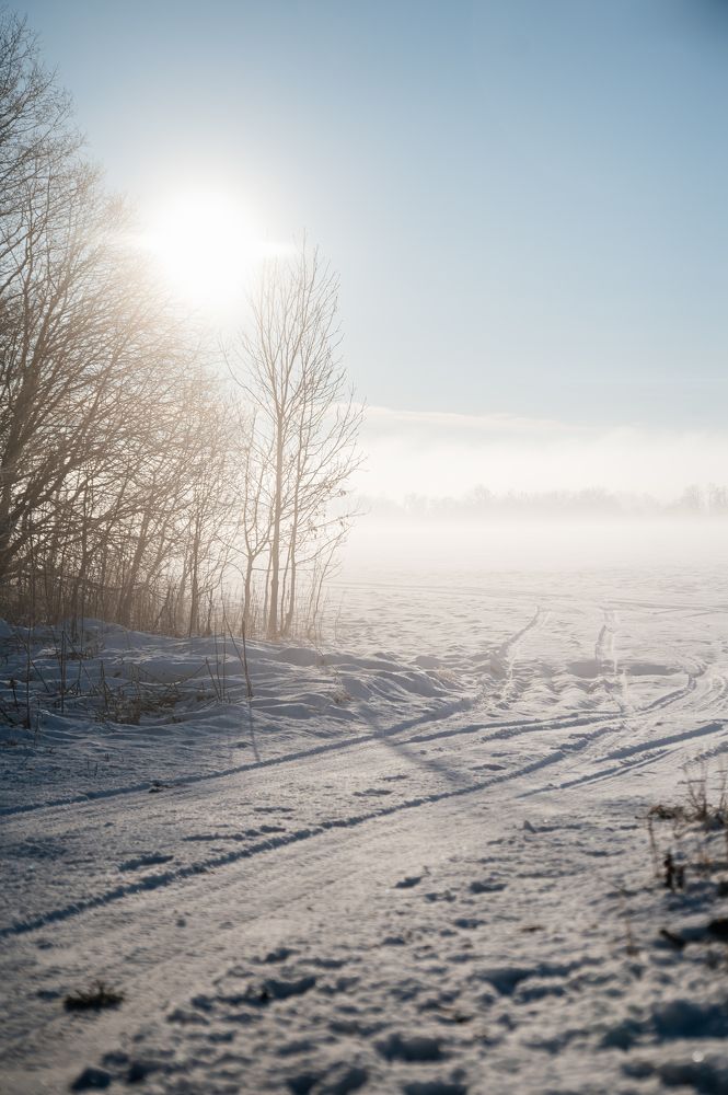 Photograph by Мария Сухалет