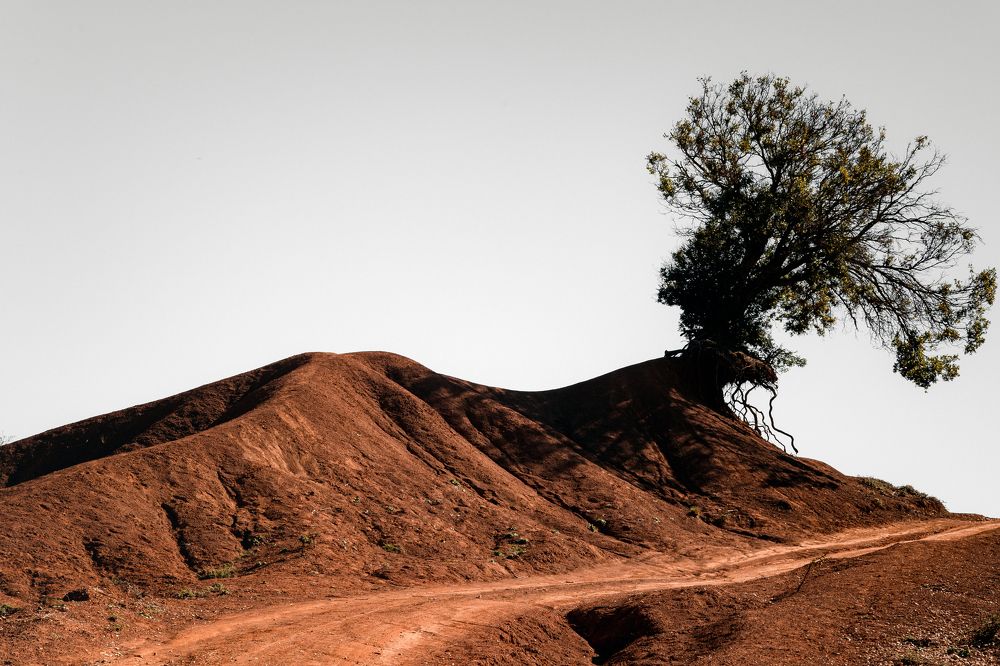 Photograph by Persidis Kyriakos