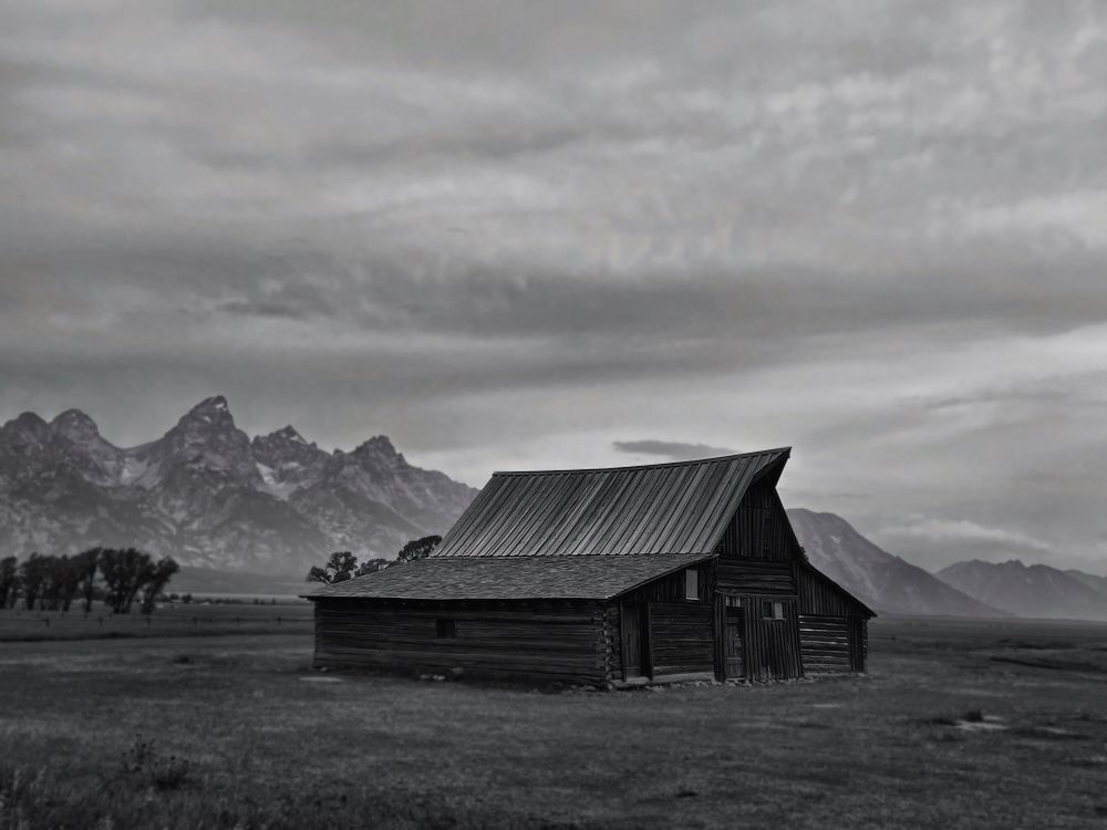 Photograph by Shapelined