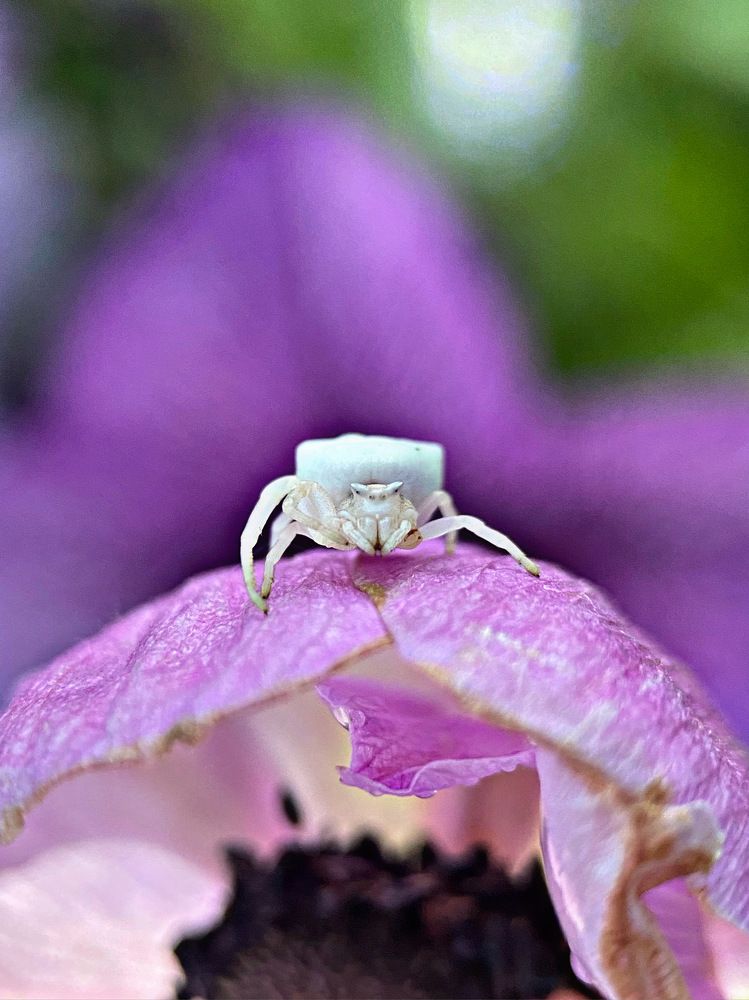 Photograph by Александра Гонтарь