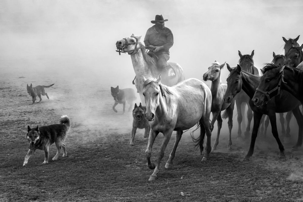 Фотография автора Aylin Turnator