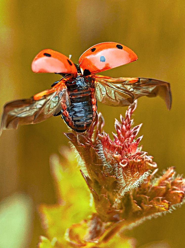 Photograph by Александра Гонтарь