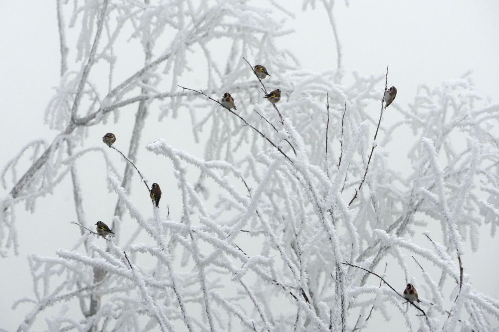 Фотография автора Вадим Коваленко