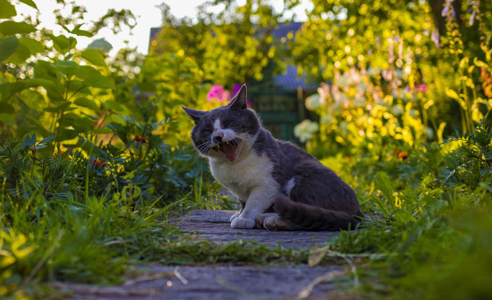 Photograph by Andrew Leshiy