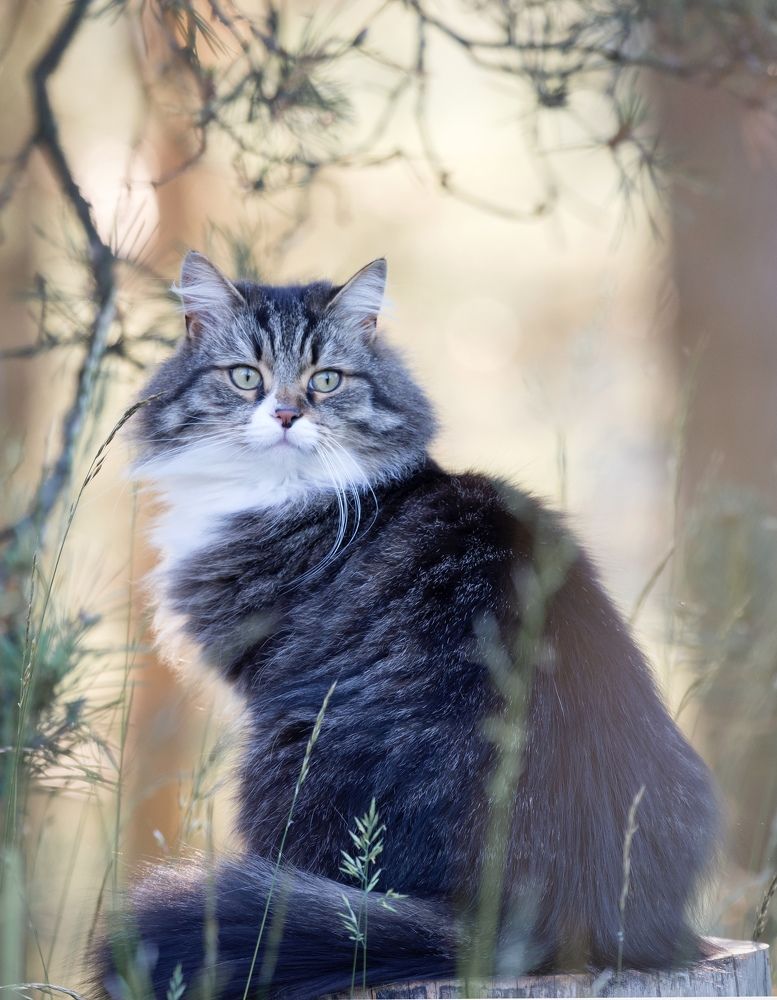 Photograph by Алексей Тихонов