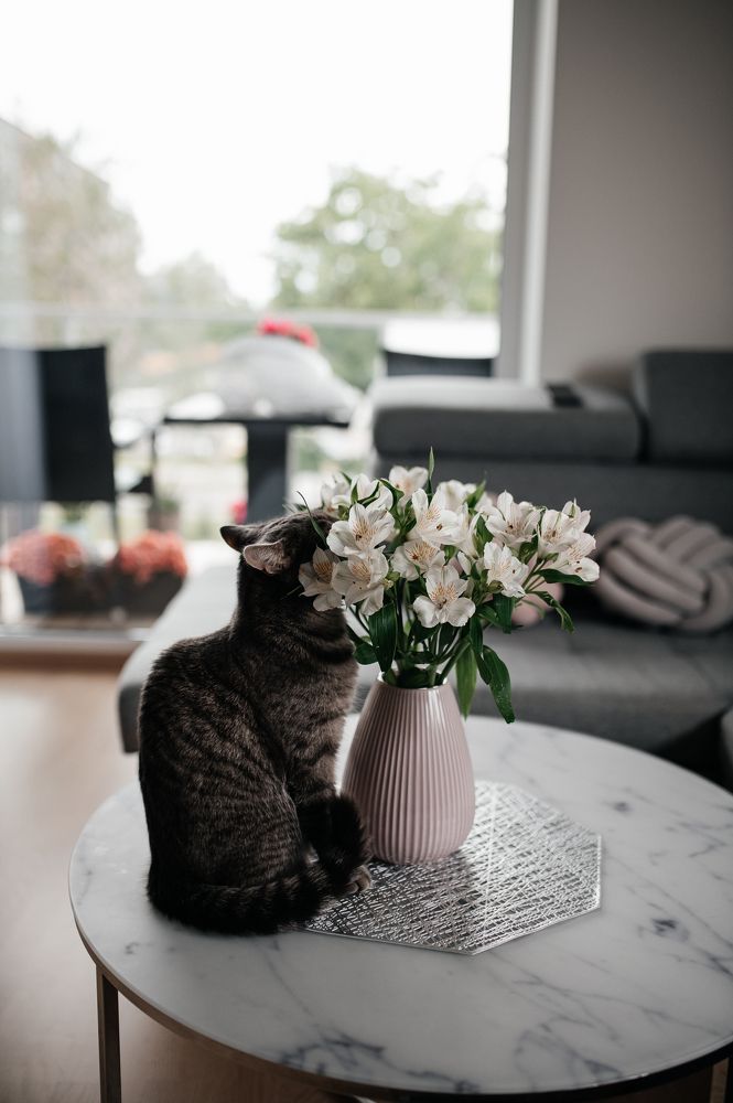 Photograph by Мария Сухалет