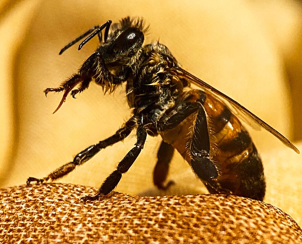 Photograph by Александра Гонтарь