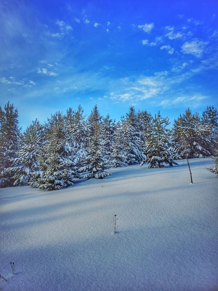 Photograph by Наталья Светлова
