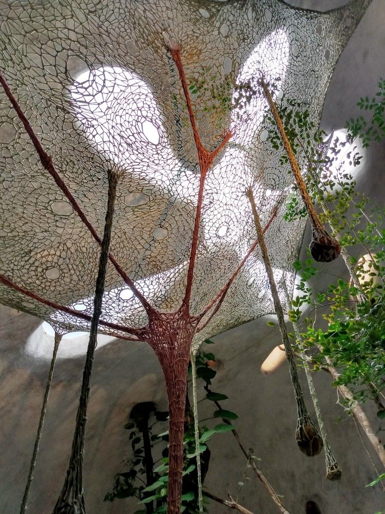 Photograph by José Luis Mendoza Machado