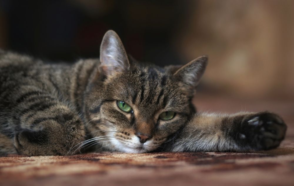 Photograph by Ирина Салминен