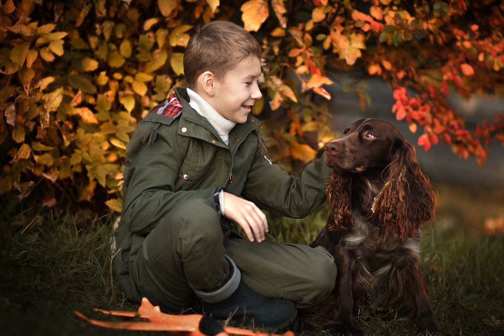 Верный друг