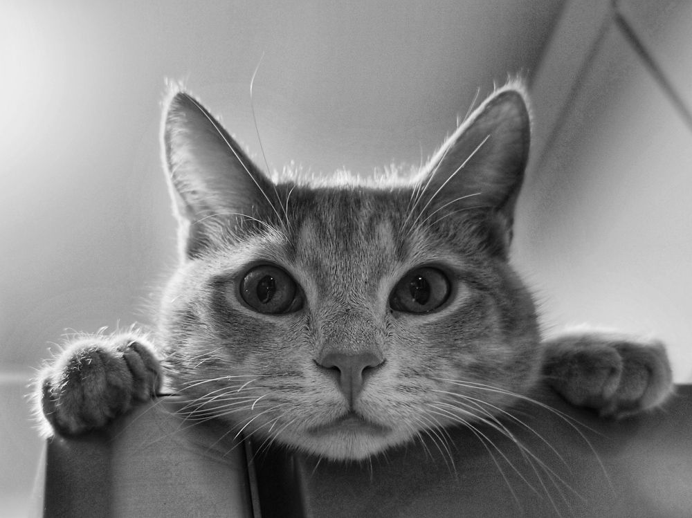 Photograph by Екатерина Харитонова