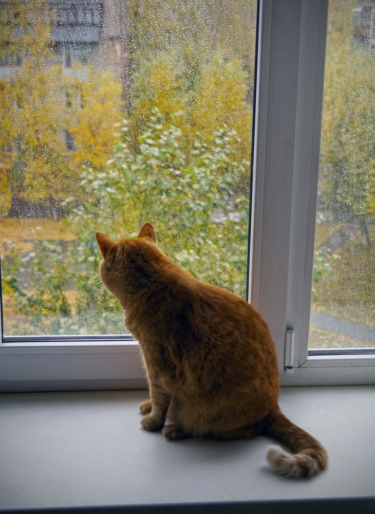 Photograph by Мишустина Татьяна