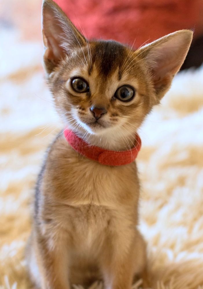 Photograph by Taras Shevchenko