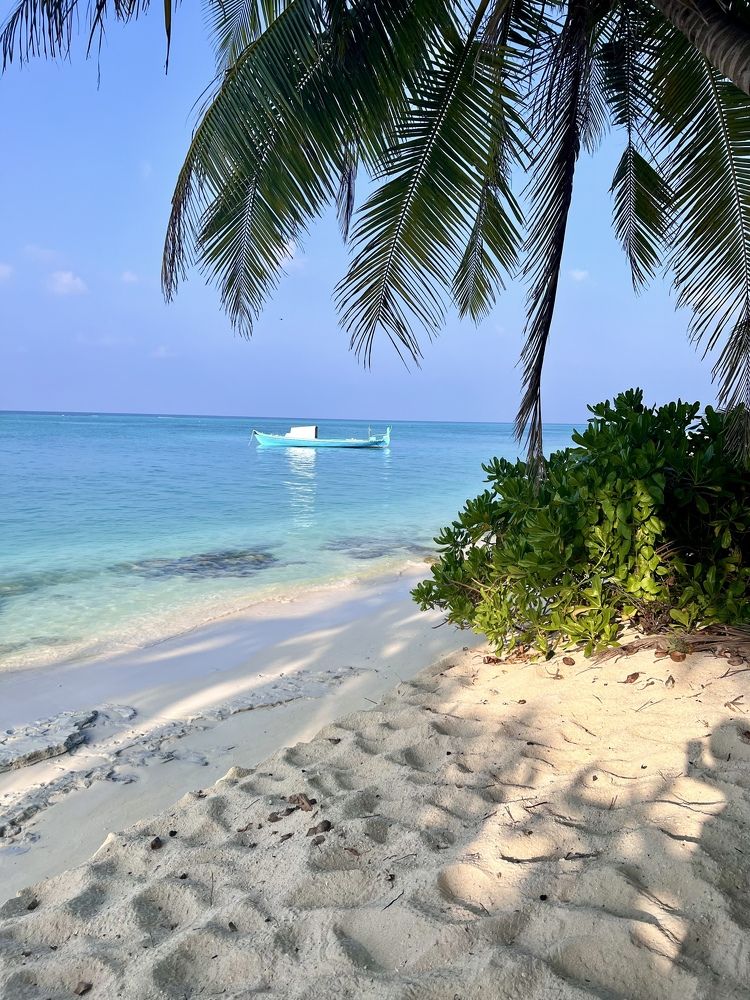 Photograph by Елена Ковалева