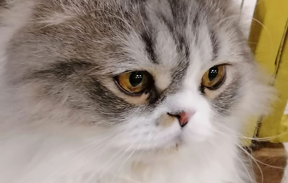 Photograph by Тамара Багровская