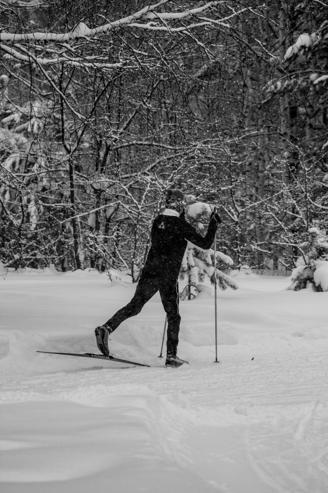 Photograph by Николай Головко