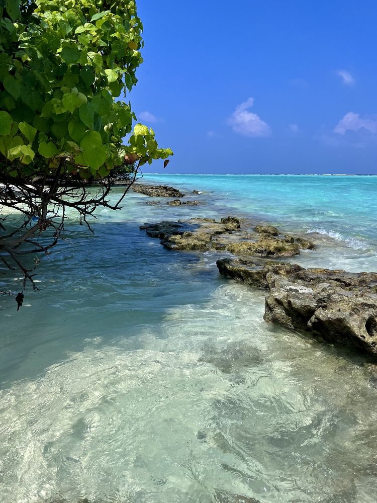 Photograph by Елена Ковалева