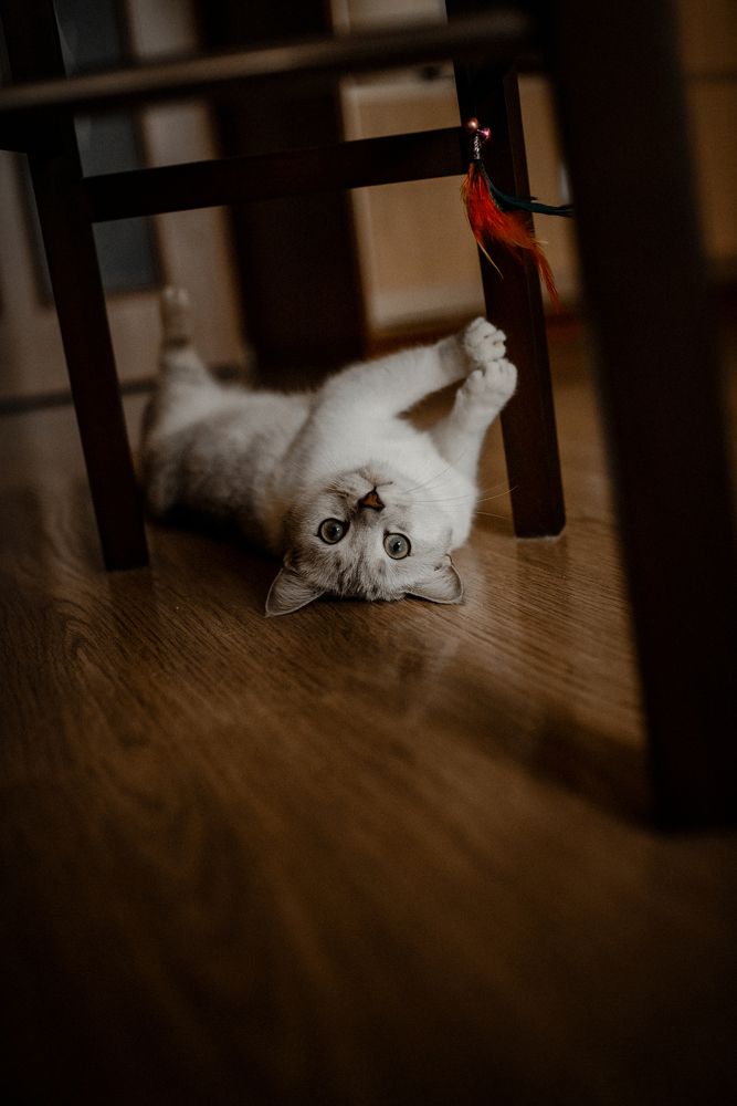 Photograph by Алёна Попова