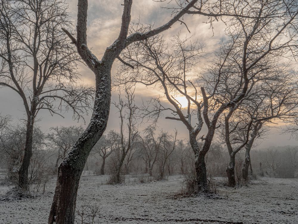Photograph by Jaroslav Vyhnicka