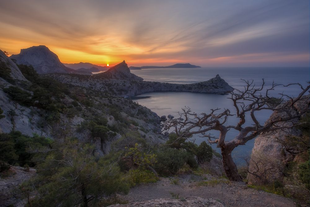 Фотография автора Дмитренко Екатерина