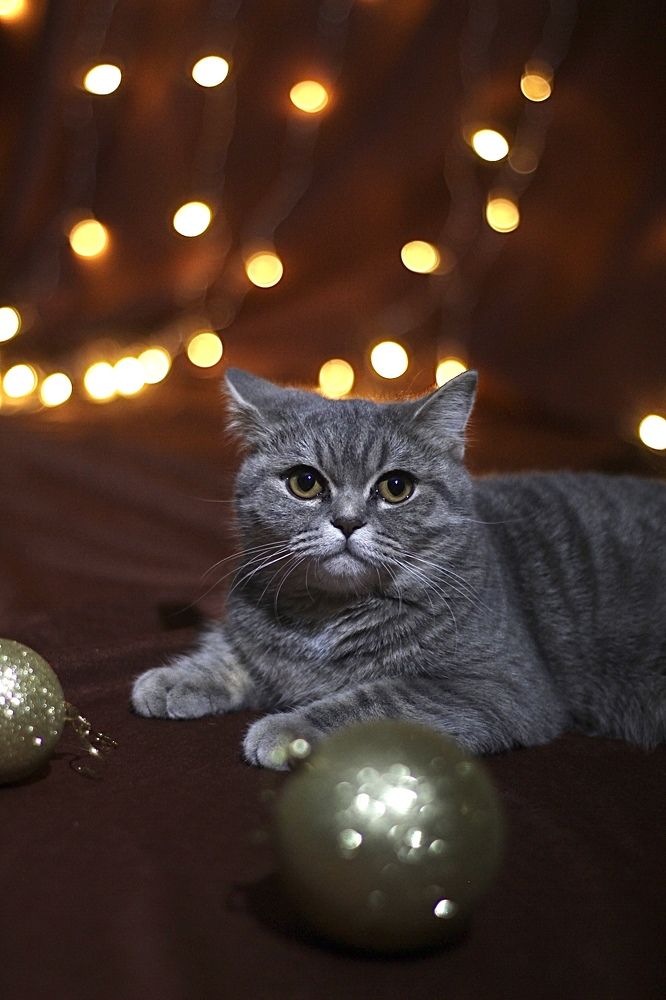 Photograph by Наталья Гусева