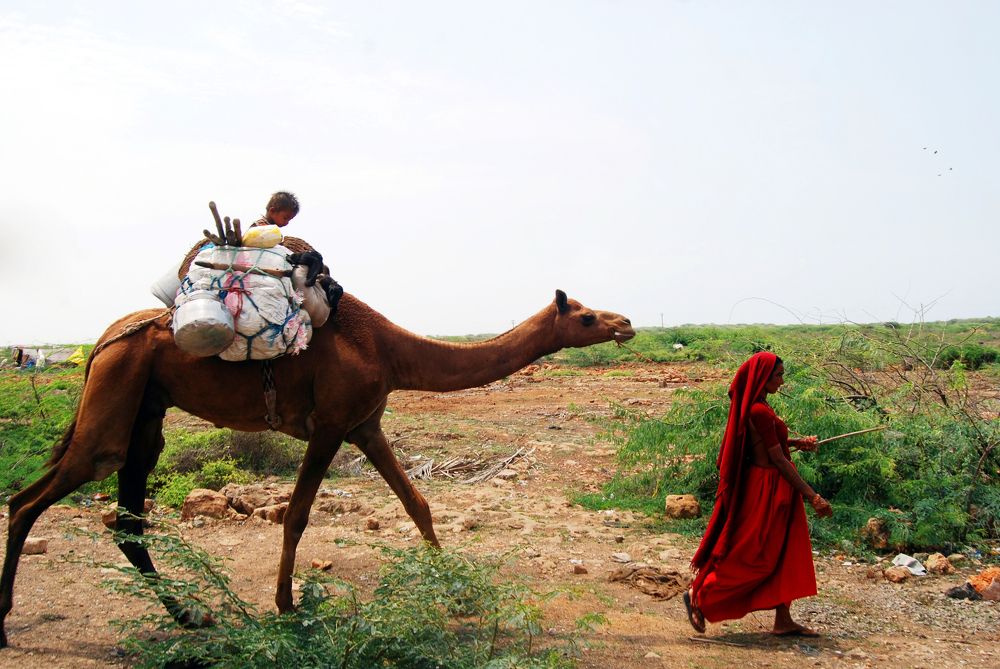 Photograph by Dipesh Mukherjee