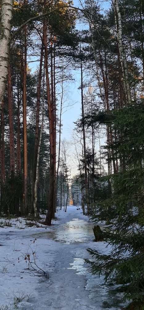 Photograph by Елена Вершинина