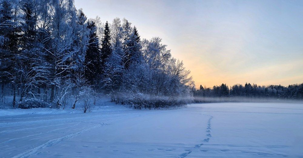 Photograph by Елена Вершинина