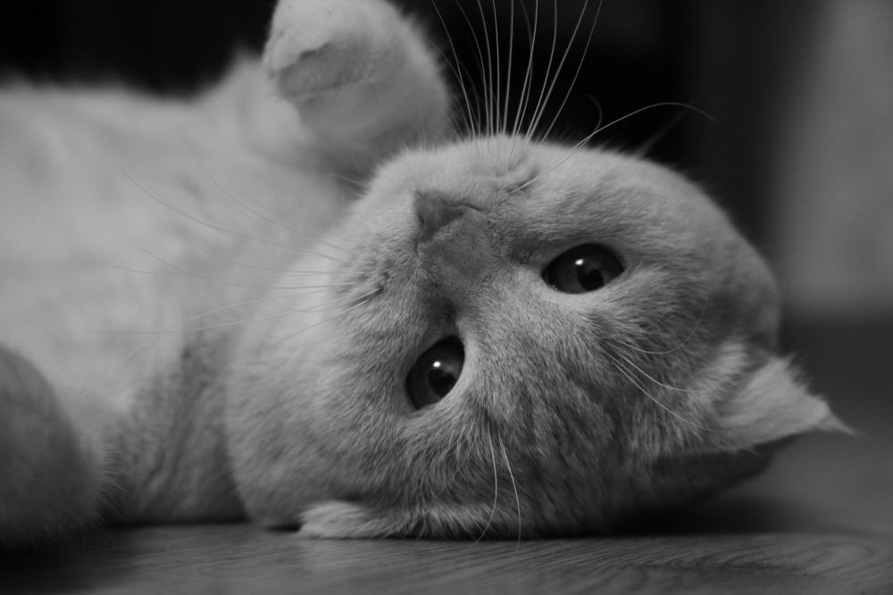 Photograph by Алёна Корнеева