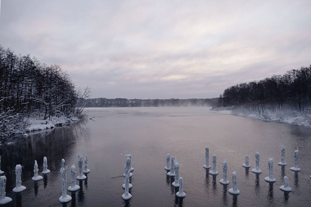 Фотография автора Савчиц Марина