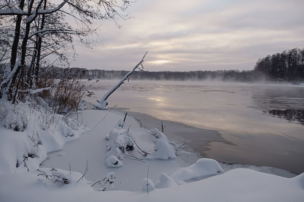 Фотография автора Савчиц Марина