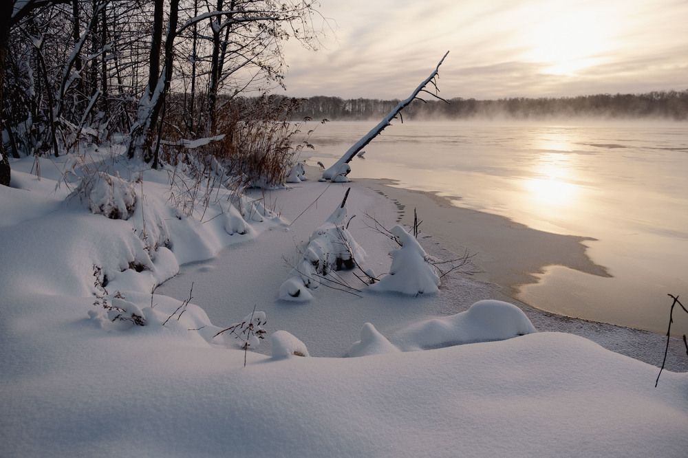 Фотография автора Савчиц Марина